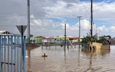Después de la gran tormenta, ¿cómo rediseñaremos?