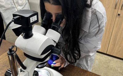 Actividades en Laboratorio de Química de los Materiales.